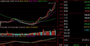 新三板股票如何查封