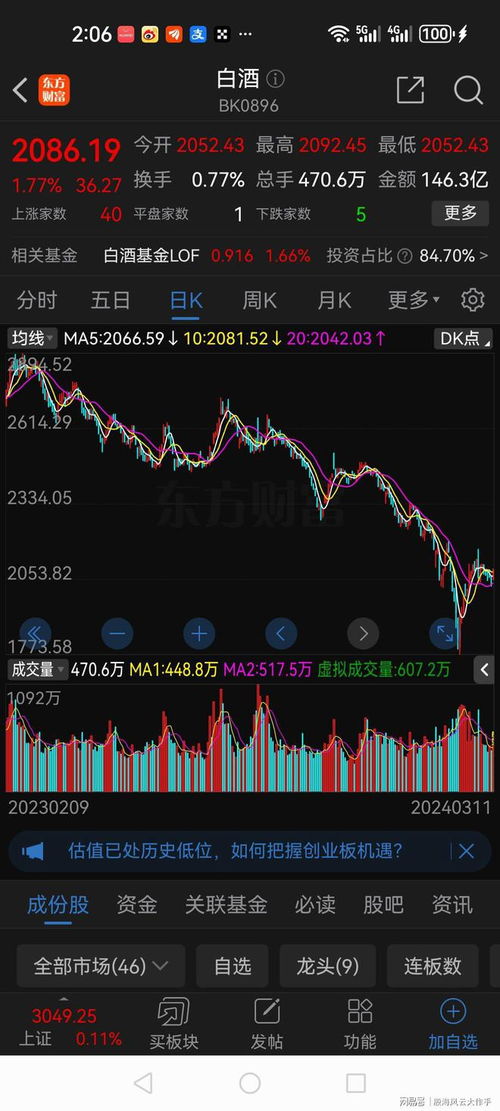 融资股票如何分红 融资股票如何分红