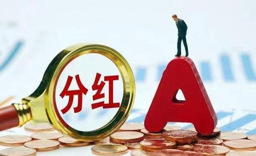 融资股票如何分红 融资股票如何分红