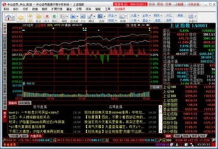 广东中山证券股票怎么样