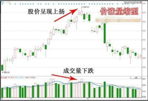 投资者如何看股票价格的