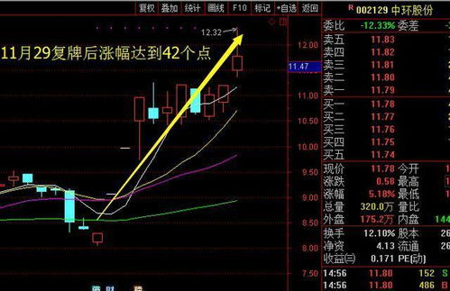 如何选出真正的股票公司 如何选出真正的股票公司