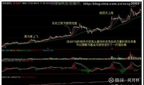 如何区分银行股票好坏