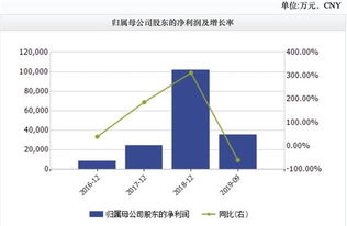 一万元股票如何分配利润