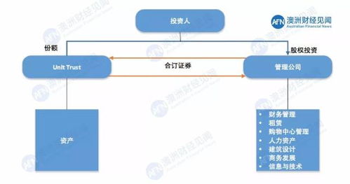 新西兰股票如何投资合理 新西兰股票如何投资合理