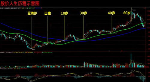 如何查看股票创新低点