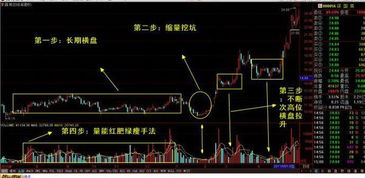如何捕捉到龙头股股票