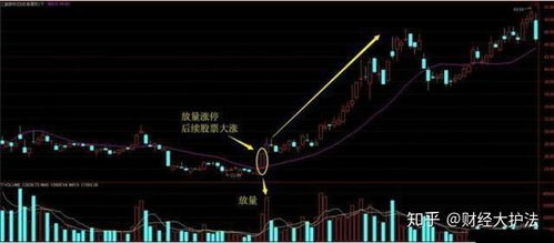 如何确定股票是否成交了