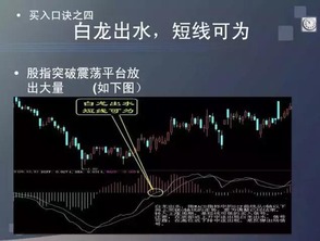 如何购买鸡蛋股票