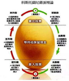 如何购买鸡蛋股票