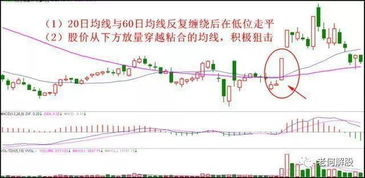 卖股票如何让人信任