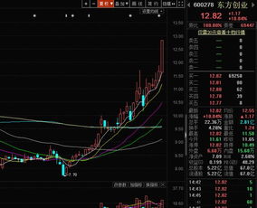 如何选择概念龙头股票