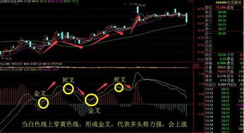 如何快速学懂股票