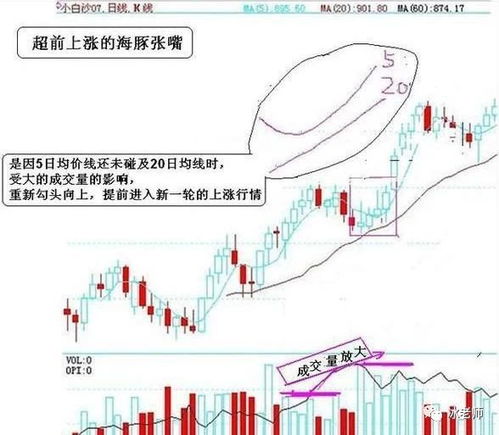 如何在海豚股上看股票 如何在海豚股上看股票