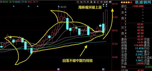 如何在海豚股上看股票 如何在海豚股上看股票