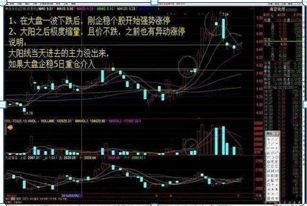 如何选避风港股票