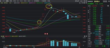 如何选择股票持有时间点