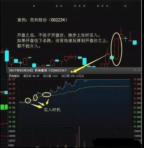 如何看出是什么股票涨跌