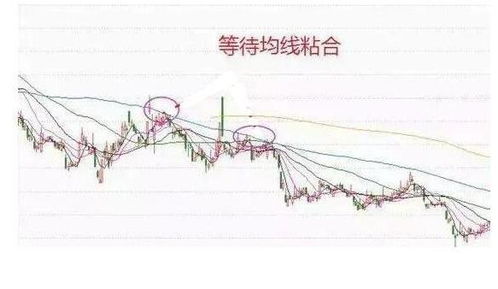 股票如何自己写算法