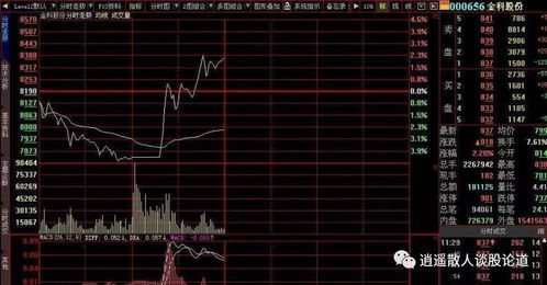 如何看股票大单