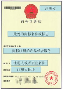 如何证明股票真假