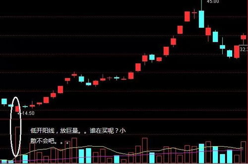股票主力如何看 股票主力如何看