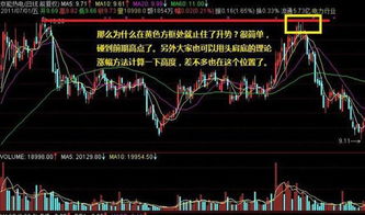 如何找板块相关股票