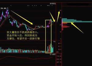 股票市场如何收益最大 股票市场如何收益最大
