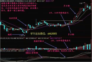 新股民如何选择股票
