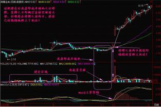 如何找股票位置信息