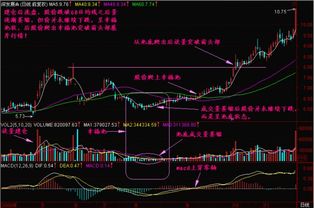 如何找股票位置信息