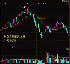 如何选股大盘反弹的股票 如何选股大盘反弹的股票
