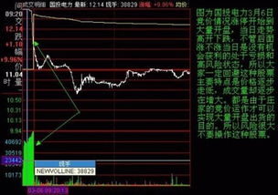 如何看到股票排版