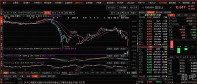 证券B怎么投资