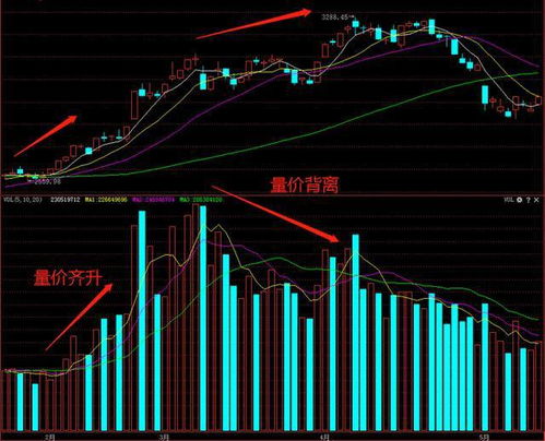 股票中的量如何看