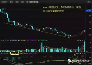 百发百中如何选股票