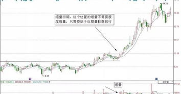 如何选股市低价股票