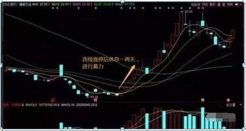 股市中如何确认龙头股票 股市中如何确认龙头股票