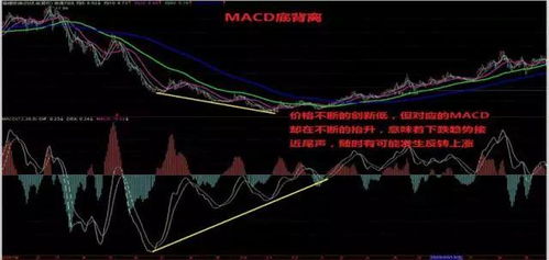 如何看股票涨跌行情走势