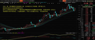 如何选择股票推荐