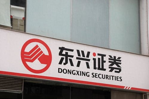 东兴证券怎么玩