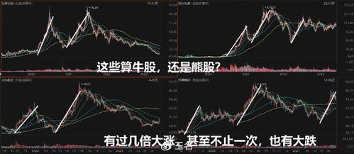 如何预防股票下跌的风险