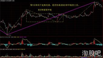 天红股份这支股票如何
