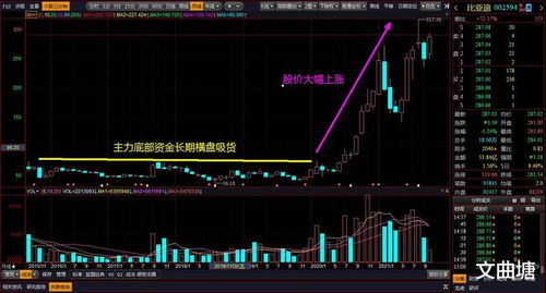 不同类型股票如何选股价 不同类型股票如何选股价