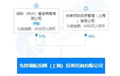 证券投资怎么做顾问工作