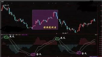 如何选择介入的股票