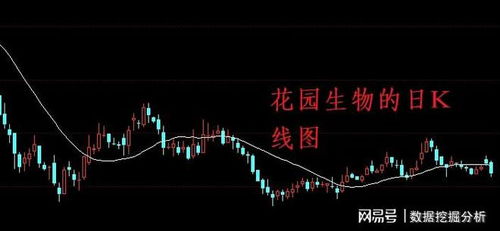 如何购买新发行的股票