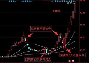 股票回调后如何提示买卖