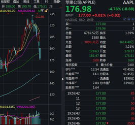 股票大盘熊市如何理财