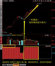 如何查询股票是否被套